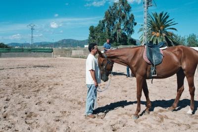 CARLOS Y SU CABALLO CARIÑOSO