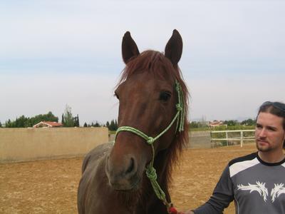 Embajador y Dani