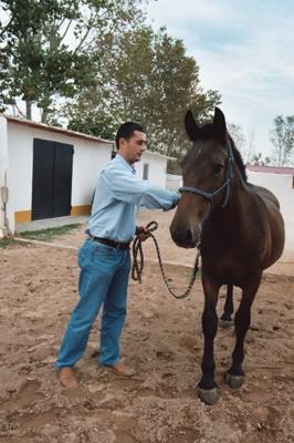 JOSE LUIS Y BANDOLERO