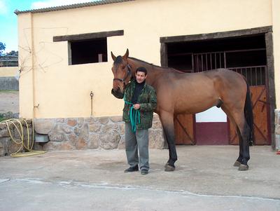 QUO VADIS DICIEMBRE 2003