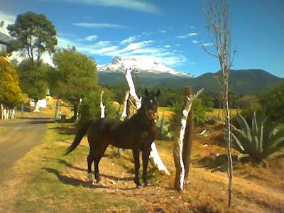 RANCHO